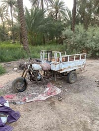 ستوته • موديل 15 • تواير جدد