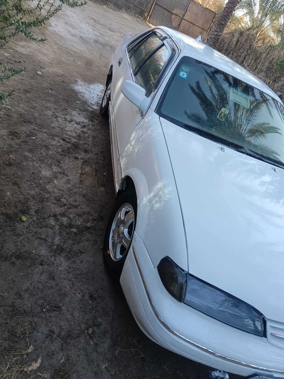 دايو برنس للبيع موديل 96 رقم بابل انكليزي سنويه 2028 مكفوله كفاله من الضربه ولكص ولعيب الشرعي كير عادي محرك مفتوح كير ومحرك كفاله تخم تايرات جديد حداديه جديده غرفه جديده كهربائيات كله شغاله تبريد فقط غاز تحويل شوكت ماتريد السعر 33 وبيه مجال المكان بابل الاتصال على الرقم ***********
