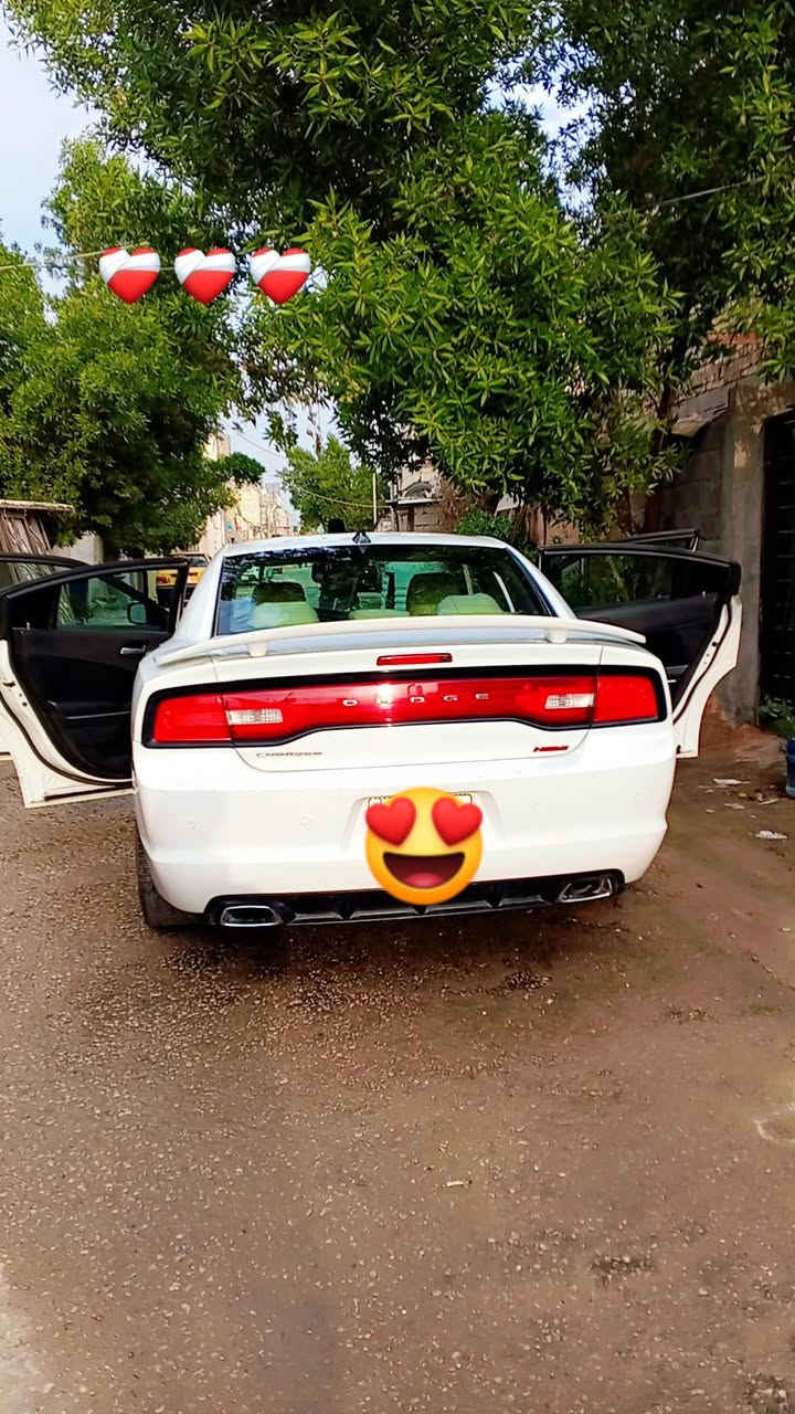 سلام عليكم مرخصت صاحب الكروب سياره جارجر 2013 وارد امريكي بيها البنيد مصبوغ وجمالغ الخلفي ماواصل للتكمه مكينه وكير اوتبريد شرط كفاله مكينه سته سلندر 3600 كير عصه رقم بغداد انكليزي باسمي تحويل مباشر هزه جديده ويل عشرين أكروم السياره نص فول تحكات استيرن اسبورت ترهم امراوس حسب القناعه بيها مكان السياره كربلاء خاص مفتوح


**إذا كنت صاحب هذا الإعلان وتريد حذفه لأي سبب، رجاءا أرسل رسالة إلى الدعم الفني**