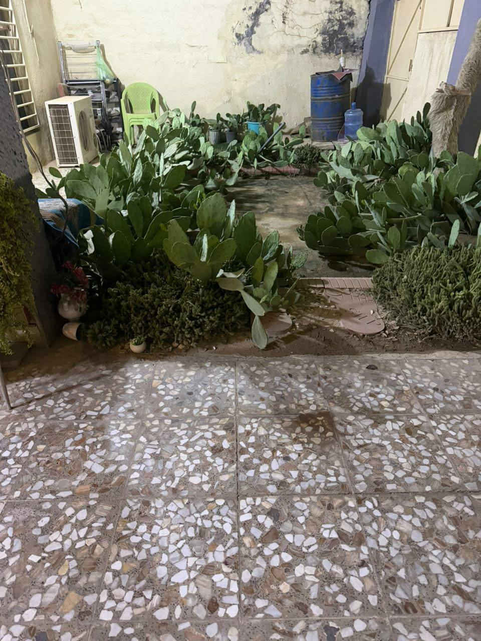 بـــسم اللَّه 
السلام عليكم ورحمة الله 

#دار للبيع 
الموقع حي الإمام علي (ع) 
طابو صرف المساحة ٢٣٠ متر
الواجهة ١١ النزال ٢١ متر
الشارع عرضه ١٥ متر
يحتوي الدار على طابقين 
الطابق الأول ( صالة كبيرة + مطبخ +غرفتين+ مجمع صحيات 
الطابق الثاني أيضا غرفتين وهول 
البيت كله بي ٤ غرف 

للأستفسار أكثر الإتصال على الأرقام التالية ويوجد فيها واتساب أيضا

‪0783 240 5146‬‏
***********
