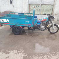 ستوته • موديل ١٩ • اوراق كامله