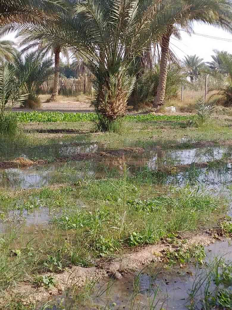 السلام عليكم يوجد لدينا دونم للبيع طابو زراعي سنه 25 باسم ملاك فقط اخوان خدماته موجوده فول الفول ماء كهرباء شارع مكان بابل شارع الامام بكر عليه السلام خلف مقام نبي الله ابراهيم الخليل عليه السلام الاستفسار ***********
