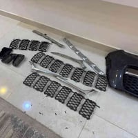 زعانف نيكل • دعاميات جيب • ديوانية