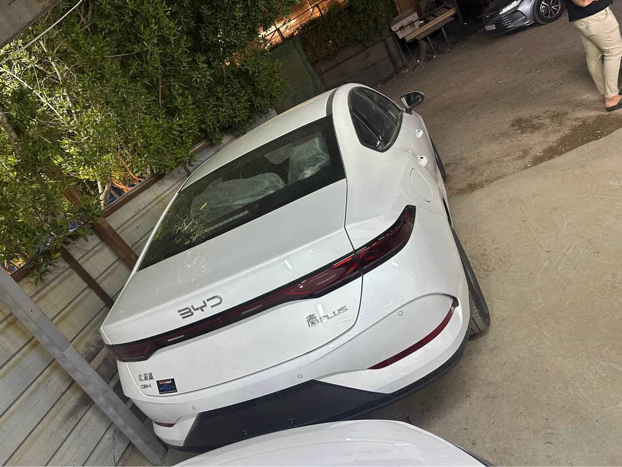 كن بلاص ٢٠٢٥ زيرو داخل زيتوني صفر كيلو متر *********** بغداد, العراق
