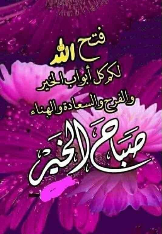 افانتي ٨بيه نص حزام كير مدينه مكفول تبريد منضومه جديده سعر ٩٥ وبيه مجال


**إذا كنت صاحب هذا الإعلان وتريد حذفه لأي سبب، رجاءا أرسل رسالة إلى الدعم الفني**