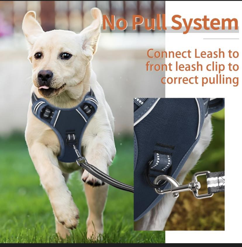 كلهن 15


**إذا كنت صاحب هذا الإعلان وتريد حذفه لأي سبب، رجاءا أرسل رسالة إلى الدعم الفني**