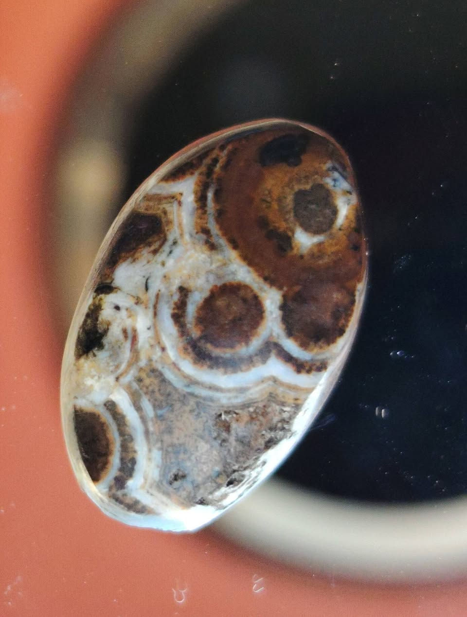 سلام عليكم  اخوان حجرات قديمات الله شاهد  قديمات خرزه داوودي اب يماني الله شاهد مال الحجي   شايلها او جزع سليماني اوجزع بقري او حلقه فضه ضخمه وجبيره سعر خاص


**إذا كنت صاحب هذا الإعلان وتريد حذفه لأي سبب، رجاءا أرسل رسالة إلى الدعم الفني**