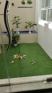 الجزائر بن غازي • ٢٤٣م • غرفتين