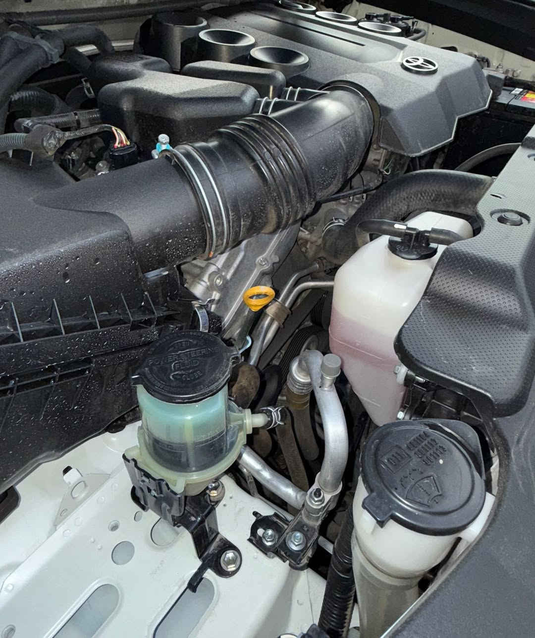 تيوتا برادو موديل 2011 وكالة شركة ساز مواصفات TXL
فول فول 6 سلندر السيارة مكفولة كفالة عامة ولا صبغ وبارد اسمي تحويل ثاني يوم 
سياره كامله لل اخير 
گير مكينه حداديه كفاله 
سياره كفاله عامه قطره صبغ مابيه حته دعاميه 
سياره ماشيه106 حقيقي كلش جديده احلى من صور بعد مكان السيارة اربيل 
ء*********** آسيا 
ء*********** كورك
