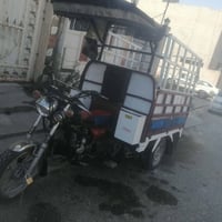 ستوته • شاصي شرط • مكينة ٢٠٢٤