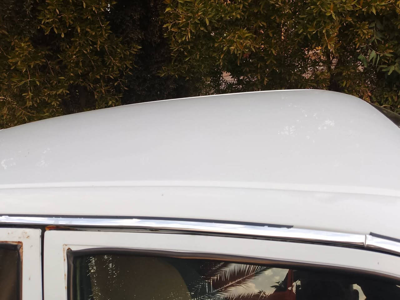 عليكم سياره برنس فراشه موديل 96مكفوله صدر أمام خلفي تخم تاير دواخل جديده بطاين جدد سياره جاهزه من صبغ ومعجون رقم *********** ابو حسين
