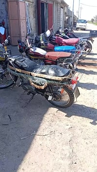 ستوته ايراني • جلولاء • الشد مجاني