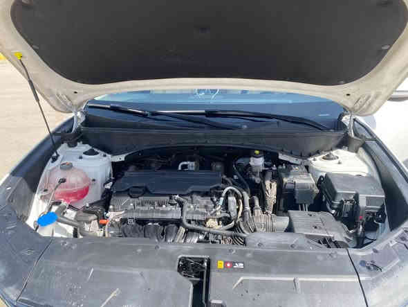 توسان 2024 خليجي ماشية 20 الف
فول مواصفات عدا بانوراما والجلد
ضمان الت ساك 5 سنوات حقيقي 
مرقم بغداد بإسمي مداور ثاني يوم شرط 

* مكينة 2.0  L دوش .
* بصمة وبصمة تشغيل وبصمة ابواب.
* تشغيل عن بعد .
* بردات خلفية بلادي .
* حساس أمامي خلفي.
* مري شفط اشاير بالمري .
* نظام ترحيب عند الإقتراب.
* ويل شكل الجديد حجم 18 .
* أريل نفكَيتر 
* كامرة خلفية دوارة 

* كراسي 2  كهرباء .
* شاشة أبل كار بلي. 
* ديشبول دجتال ٣ الوان .
* درايف موود ٣ مودات .
* أوتو هولد 
* هندبريك دكمة .
* نزول منحدرات .
* نقطة مشاهدة Camera  View تحكم
* مانع تزحلق .
* حساس بنسر مساعد اصطفاف 
* دركة خياط بلادي 
* تحكمات ستيرن كاملة 
* كروس سرعة 
* شاشة اعطال 
* حاكية وأوامر صوتية وبلوتوث 
* قطعتين تبريد .
* شحن لاسلكي 
* دواخل ملاينو بلاك 
* ابواب وديشبول تطعيم ألمنيوم 
* تجاوي كراسي عدد 5 
بيها شبر تكحيل خفيف بالباب الخلفي عكس السايق
الباقي كفالة السعر 227
مكان بغداد الغزالية ***********
