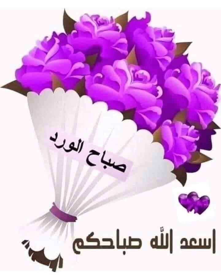 بسم الله الرحمن الرحيم 
والصلاة والسلام على سيدنا محمد وعلى آله وصحبه اجمعين /اللهم لك الحمد على ماانزلت من الغيث اللهم اجعله سقيا رحمة وبركة /الى اصحاب الحقول الكرام من محصولي الحنطة والشعير توجب عليكم اليوم ان تتابع محصولك ومايعاني منه وبي اسرع وقت حتى لا تغلب عليه بعض الافات مثل الادغال وبعض الديدان الماصة التي يجب مكافحتها فورآ وهذا تحدده الزيارة الحقلية /ادارة المكتب


**إذا كنت صاحب هذا الإعلان وتريد حذفه لأي سبب، رجاءا أرسل رسالة إلى الدعم الفني**