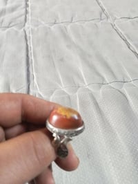 داوودي • قديمه • اكسسوار