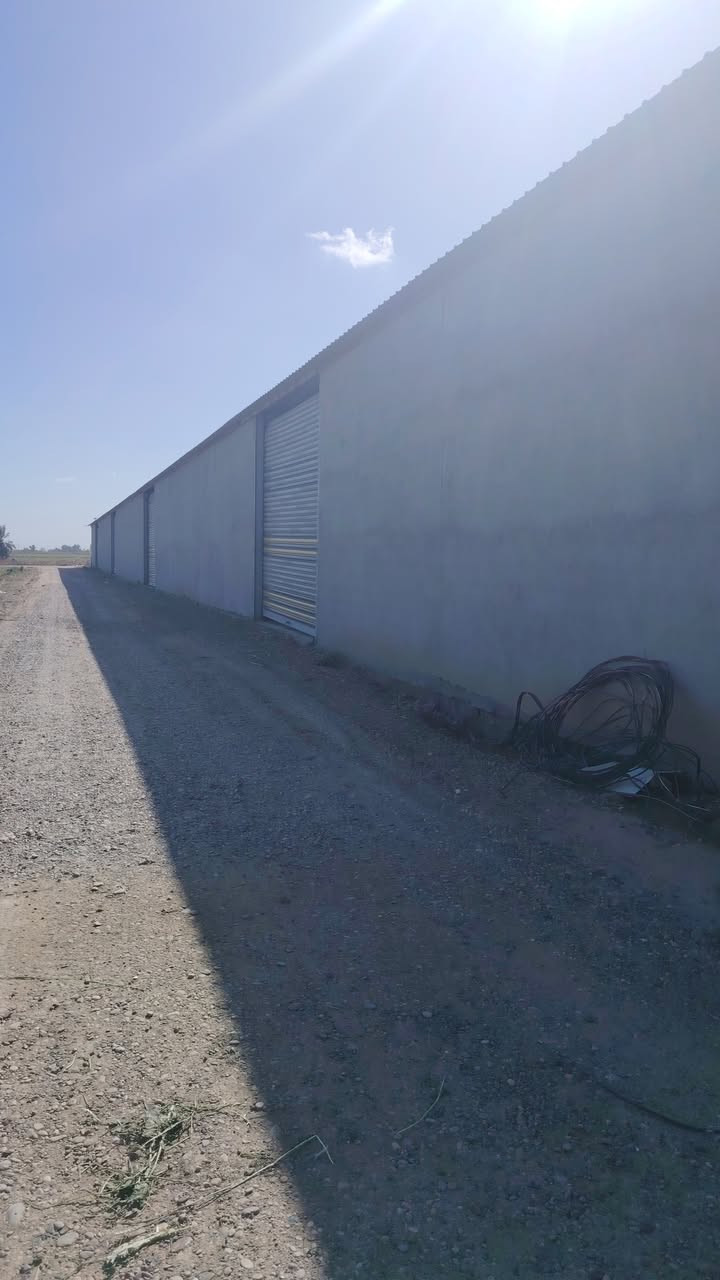 السلام عليكم يتوفر ثلاث جملونات لليجار مساحه الواحد 500متر في ابو غريب ***********
