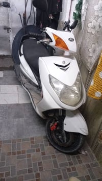 سكنس فحل • ياباني • نفخ