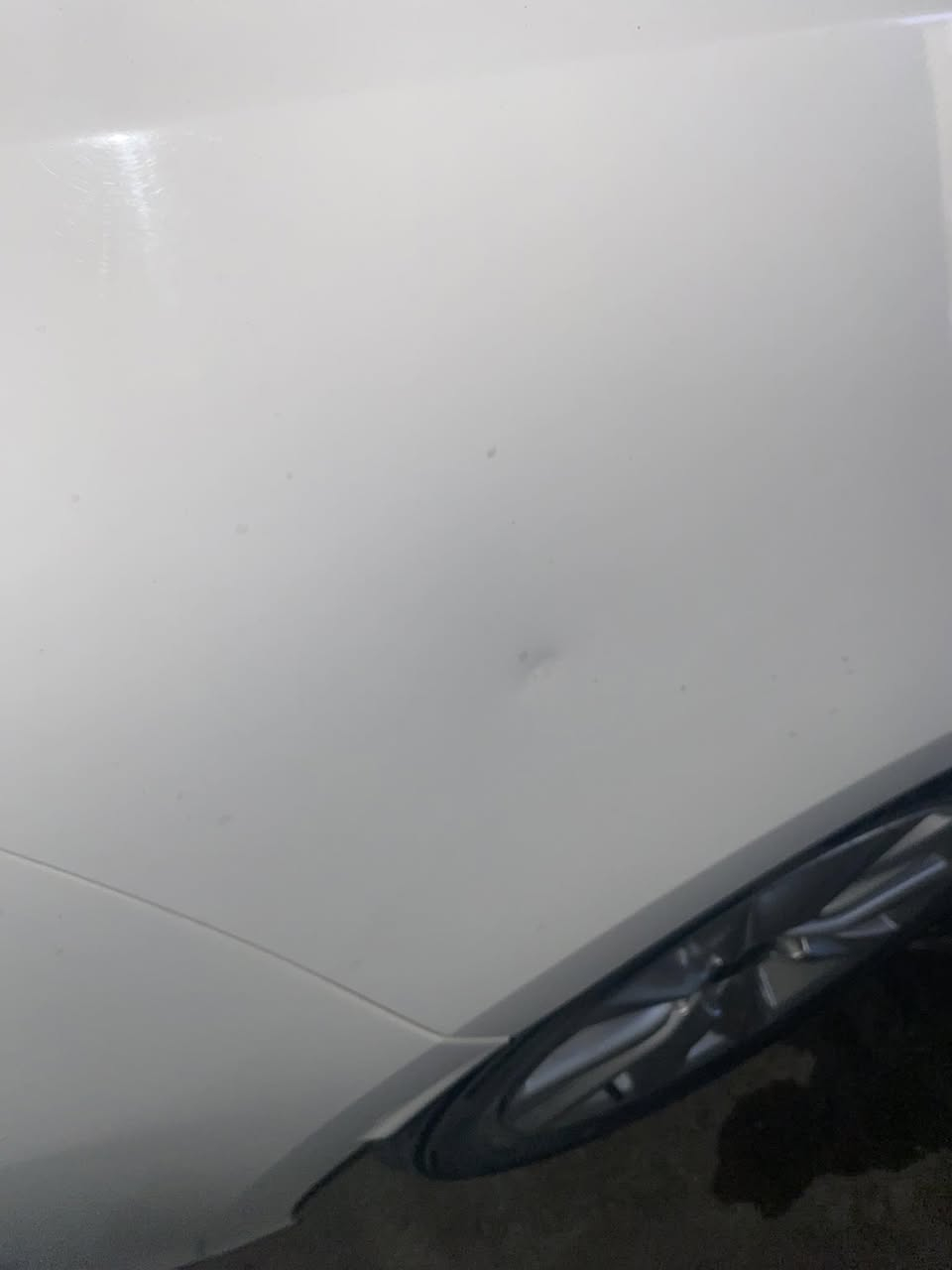 السلام عليكم
حبايب كورلا هايبرد 2024 داخل اسود وفتحة وضايفلها سوادات مري يدات سكوبات
السيارة جداً نضيفة ومكفولة من الصبغ وكلشي فقط نطخت طخة بسيطة موضحة بلصورة ورجعتها بي دي ار وبيها ٣ رصعات جداً بسيطات السيارة ماشية 49 وسعرها كلش مناسب لان محتاج ومستعجل هذه رقمي *********** متواجد اتصال وواتساب عنواني البياع الشرطة الرابعة
