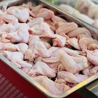دجاج حي • دجاج • أجنحة دجاج • أجنحة فريش • لحم دجاج • دجاج مذبوح • لحو...