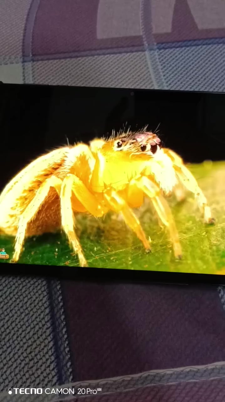 للبيع تابلت هونر،، باد اكس ٨ اي  جهاز جديد أخذته للدراسة ورائد ابيعه واشتري حاسبه أخذته من شركه الاماني قبل سبوعين ب195الف وابيعه 150الف للاستفسار *********** متوفر وتساب
