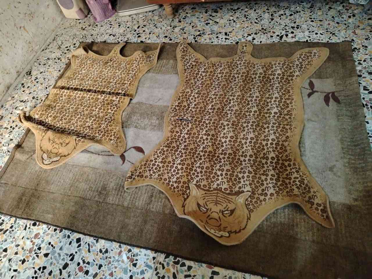 الشعب


**إذا كنت صاحب هذا الإعلان وتريد حذفه لأي سبب، رجاءا أرسل رسالة إلى الدعم الفني**