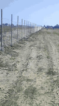 تعلن شركة النسور لاسيجة ال بي ار سي عن استعدادها لعمل ونصب اسيجة ال بي ار سي BRC جادر وبدون جادر وصب الدنك الكونكريتية وباسعار مناسبة ومواد جيدة ... يوجد كادر فني متخصص بالعمل ... نعمل في جميع محافظات نضمن لك الجودة في العمل والسرعة بالانجاز ...
للا ستفسار الاتصال
 
 ***********
