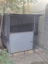 قفص دجاج • قفص طيور • بابل