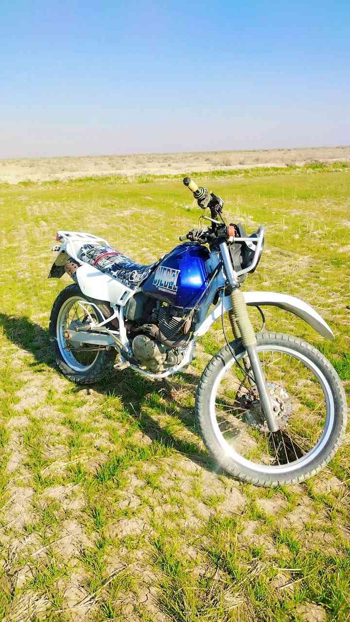 اسلام عليكم قفاز دجبل كلشي شغال بي امكان العماره سعر 1250 وبي مجال ***********
