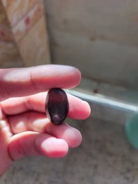 داودي • ناصريه • سعر خاص