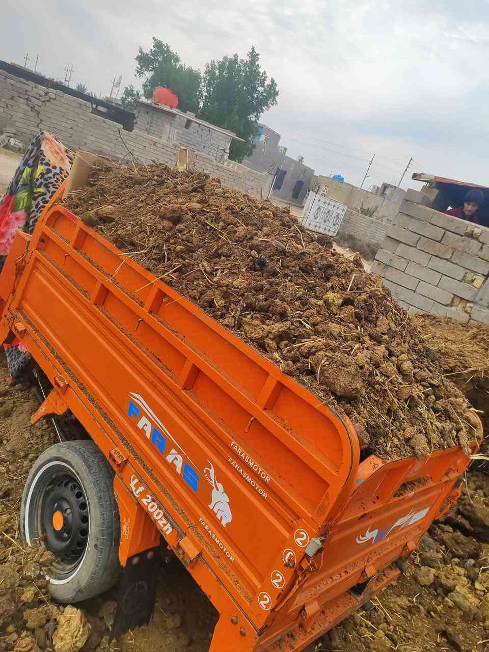 سلام عليكم يتوفر سماد حيواني نظيف ولابي ملح ولا شي سمادة تخبل افظل من بتموس  ملاحظه سماد مال جاموس وابقار مو مال مقالع ودبون يشبه بتموس وسعر ستوته حسب مكان  هيج حمال وهيج نظافة سماده براسها ستين حظ التواصل ***********
ملاحظة ❓ سماد انه اشتري من حيادر من اهل الحلال واجيبة الك للمكان تريده
