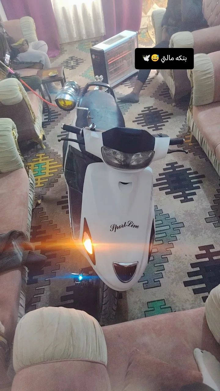 السلام عليكم  شباب  فراشه فحل مكينه مامفتوحه كفاله للبيع او مراوس مكان نجف شارع  مطار قديم  ورقم ***********
