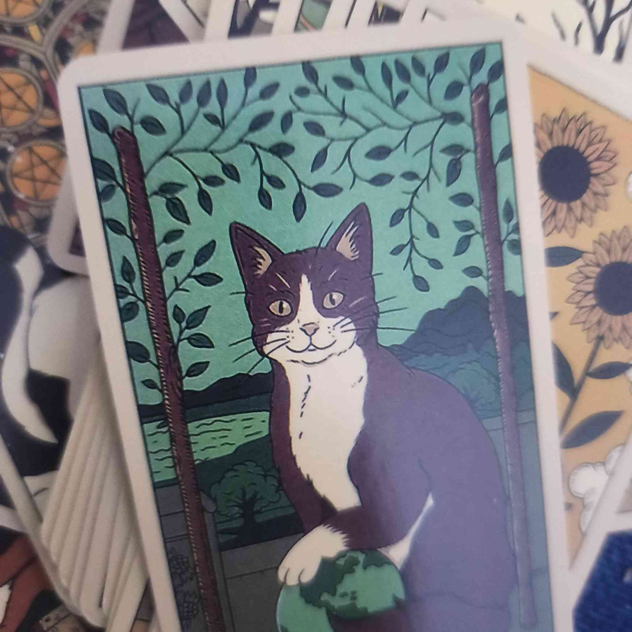 سلام عليكم ٢٣ باكيت كل باكيت بيه ١٠٠ صورة كله بزازين


**إذا كنت صاحب هذا الإعلان وتريد حذفه لأي سبب، رجاءا أرسل رسالة إلى الدعم الفني**