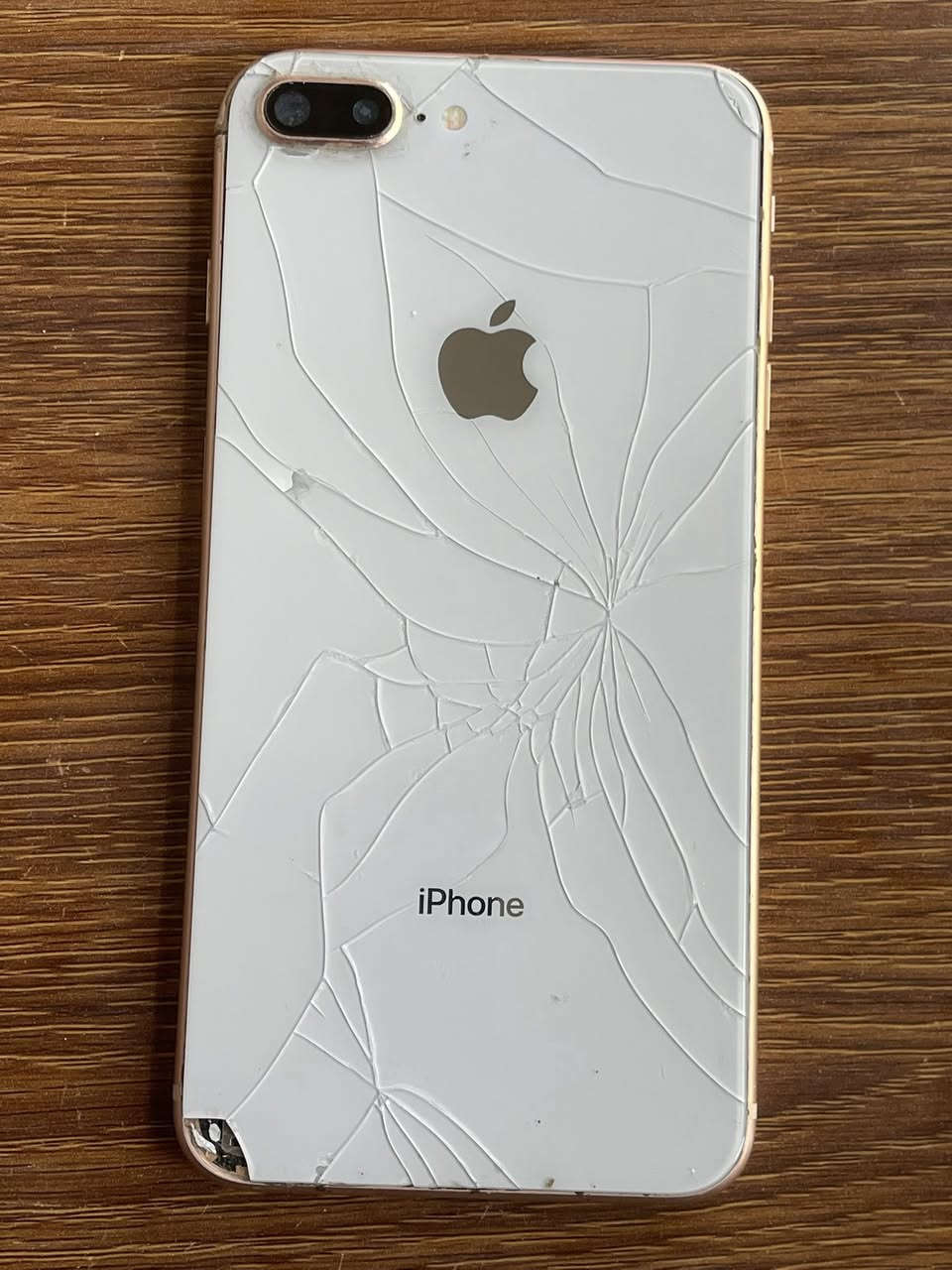 سلام عليكم آيفون 8 بلاس  مبدل شاشه البطاريه ٧٧ بلاد  الذاكره ٢٥٦ ضهره مفطر مثل ماواضح بالصوره مكاني الناصريه مركز


**إذا كنت صاحب هذا الإعلان وتريد حذفه لأي سبب، رجاءا أرسل رسالة إلى الدعم الفني**