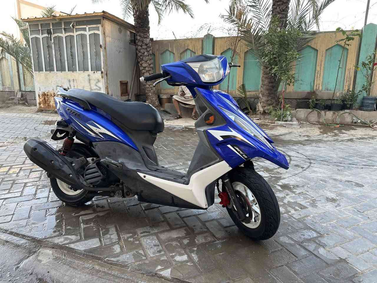 سلام عليكم جي تي ار خمسينيه
رمبه رمبه رمبه صالي ١٩ يوم من نزلته دراجه كفاله عامه برغي ممفتوح بيه مختمه شلعه ومعدل خير من الله ماشيه ٩ الف دراجه كله امزويل وبانزين محسن مداريه مكاني بغداد مدينه صدر سعره واحد وميه وخمسين 1150 قفل دينار ماينزل شراي اتصل *********** بي واتساب
