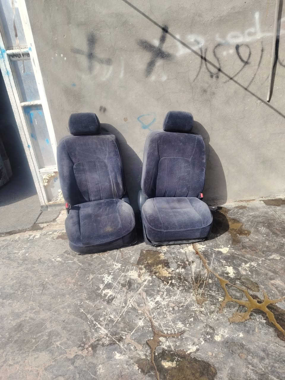 كشنات تخم ابو عيون كهربائي مكان بصره زبير سعر 125  ***********
