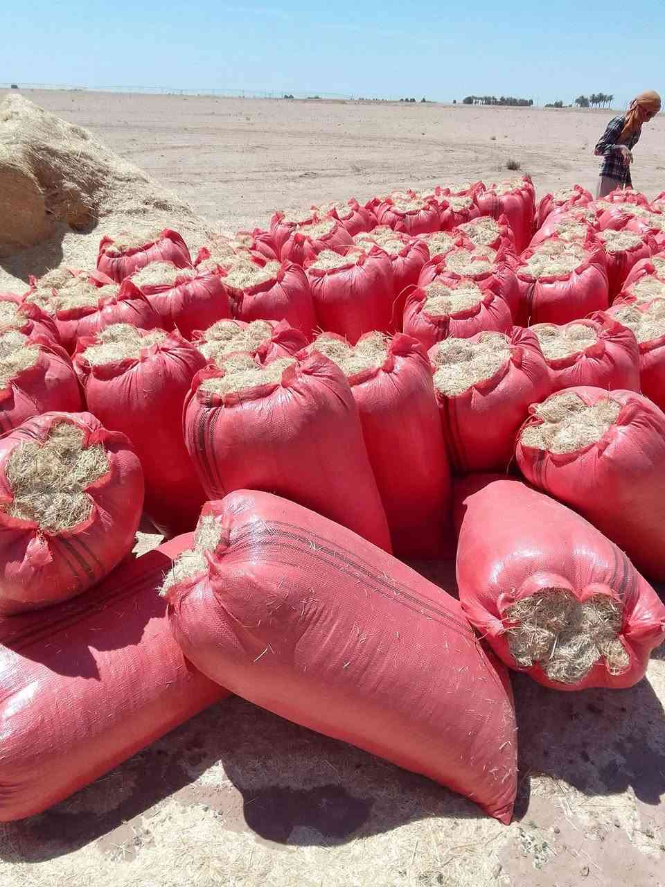 السلام عليكم..
تبن للبيع درجه اولى (تبن السنه)،شليف ابو 70
( سعر الشليف 3.500) 
واصل داخل العلم و اطراف العلم و تكريت و بيجي.
للاستفسار يرجى الاتصال

***********
