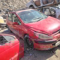 بيجو فرنسي • تفصيخ • البصرة