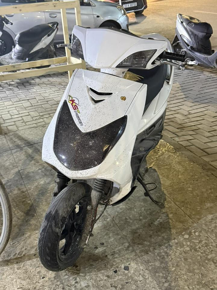 فحل للبيع شغاله بس تاخر شىيه ويرادلهه تبديل كامشفت سعرهه 450  مكاني بغداد / سبع ابكار ***********
