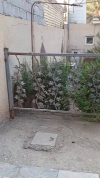 محجر مال حديقه • يحتاج صبغ • كربلاء الحر الصغير