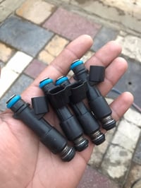 مطلق نوزلات • اصلي • فورنزا