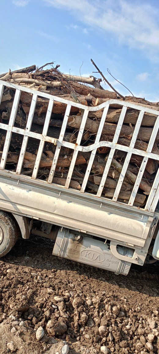 خشب للبيع مال مطاعم مسكوف سمج سعر الكيه با350 مكطع خشب رقم واحد


**إذا كنت صاحب هذا الإعلان وتريد حذفه لأي سبب، رجاءا أرسل رسالة إلى الدعم الفني**