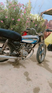 كلك • باردة