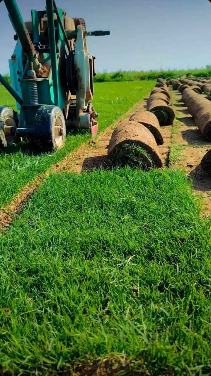 انواع الثيل عدنه وبسعار تنافسيه رقم الهاتف ***********
