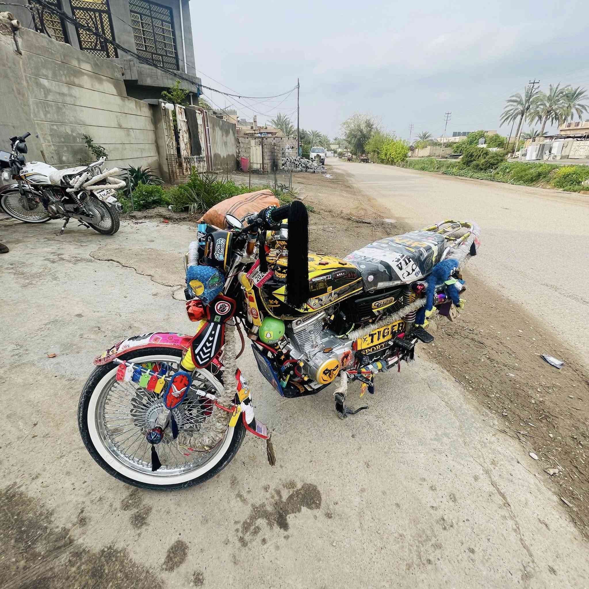 كامله عل آخر حبايه مكفول كفاله عامه
اوراق كامله تايكر24

بكاني خالص سنديه  سعر 950
***********1
