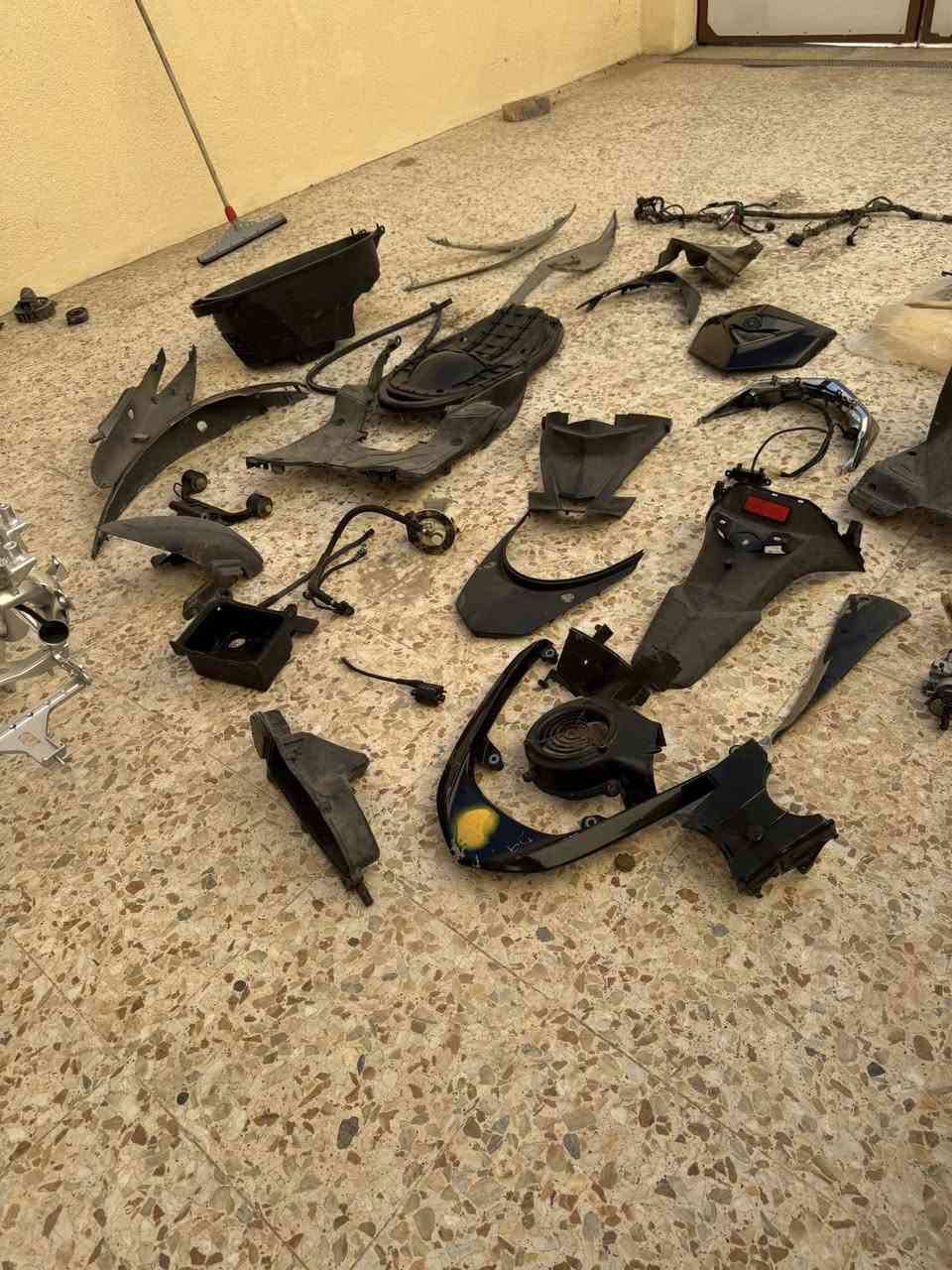 شاصي سكنس لد مصبوغ صبغه صحيحه ذني الغراض وياهن فشك ٦٣ بلاديات وملف وفلاوين غراض كلهن اكفلهن شرط رنبه 
***********
او خاص
