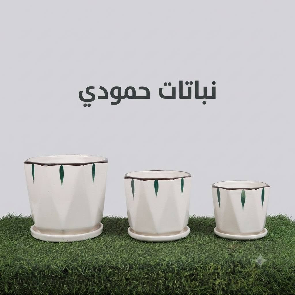 ✨🪴 متوفر الآن سنادين نوع 🪴✨

🌿 تشكيلة أنيقة وعصرية بألوان وتصاميم مميزة. 📏 متوفرة بثلاثة أحجام لتناسب جميع النباتات الداخلية والخارجية. 🏡 جودة عالية ولمسة راقية تضيف جمالاً لمنزلك أو حديقتك.

🌱 متوفرة حصريًا لدى نباتات حمودي 🌱

📲 للحجز والاستفسار: واتساب: ***********

💚 نباتات حمودي... كل ما تحتاجه لنباتاتك في مكان واحد. 🌿
