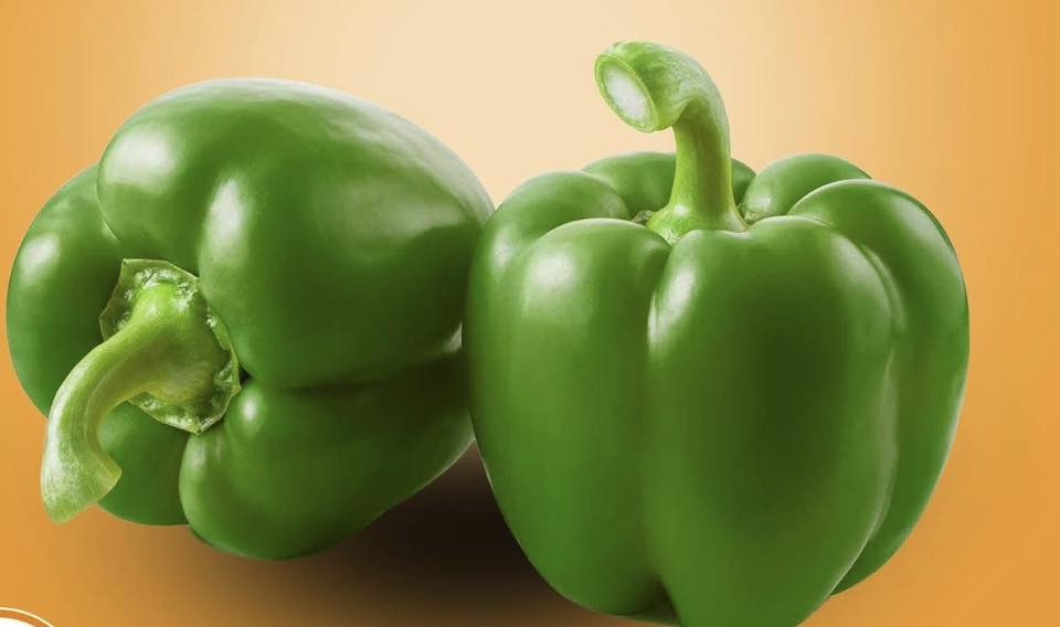 اسعار اليوم (الطلب الي سعره 15.000(توصيل 2000) 
#ابيتك_خليك_مسواكك_يجيك
من ديوانيه هايبر  Diwaniyah Hyperكلشي يوصلك للبيت ***********
#عرض سموج اا SMOG(كيلو ونص سمك)شوي 11.000
#دجاج_حي خشن ذبح ((7500))

طماطا 500
بطاطا750 (3ب2000)
باذنجان 750  (3ب2000
خيار ايراني 750 (3ب2000
خيار عراقي 1000 
شجر 750 (3ب2000)
بصل حار بنفسجي 750 (3ب2000)
بصل طولاني 1000
بصل اخضر 750  (3ب2000)
بصل بارد 750 (3ب2000)
سبيناغ (سبزي) مال النجف 1500
باقلاء خضراء 2000
رارنج 1250
قرنابيط 750 (3ب2000)
خس  1000
فلفل حار وزن 500غ 1000
فلفل بارد1000
فاصوليا خضره 2500
ذره كيس 1000
ثوم شريط 1000 
لوبيا ______
شلغم750  (3ب2000)
شونذر750  (3ب2000)
افطر2000
لهانه حمره750
لهانه خضره750
خضره بأنوعها +سلك
.
#فواكه
.
فراوله بلم 1000
شمام 1000
تمر زهدي درجه اولى 1500
تمر حلاني 1000
تمر كاسه 2000
رمان سوري 2000
رمان مصري 1500
رمان يمني ————
عنب حلواني مستورد500غ 1500
تفاح اصفر 1500
تفاح احمر1250
تفاح اخضر3000
منكا قطعه كبيره 1750
ليمون اصفر 2000
ليمون اخضر _____
موز 🍌 1000
برتقال1750
لالنكي اخضر مصفر 1000
لالنكي برتقالي مشمع 1250
كيوي وزن 1500
كيوي بلم وزن 600غ 1000
كيوي مطعم بلفراوله 2000
عرموط 2500
بطيخ عراقي 1000
بطيخ ايراني 750
ركي 1000
دجاج حي 
سمك حي 
متوفر ايضاً
*مواد الاسواق بأنسب الاسعار
*دجاج وسمك حي
*مخبز 
*لحم عراقي طازج
*طرشي درجه اولى ممتاز
كل هذا يوصلك للباب من #ديوانيه_هايبر
مركز التسوق من9:00ص الى 9:00م
#ملاحضة التوصيل 2000 (للطلب السعره 15.000)
#الديوانية
