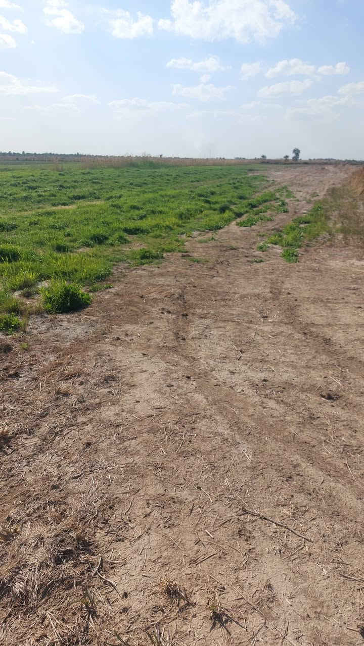 السلام عليكم  ارض للبيع طابو صرف قريبه عشارع العام كهرباء وماء متوفر المساحه ٥ دوانم ونص للستفسار اتصل ***********
مكلف بنشر
