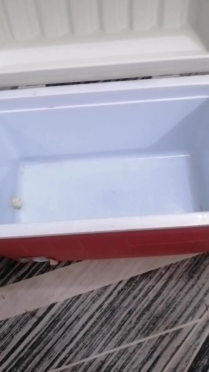 للبيع كلمن وسعر الرد على الخاص حله ورديه خارج سيف سعد قرب فرن المصطفى


**إذا كنت صاحب هذا الإعلان وتريد حذفه لأي سبب، رجاءا أرسل رسالة إلى الدعم الفني**