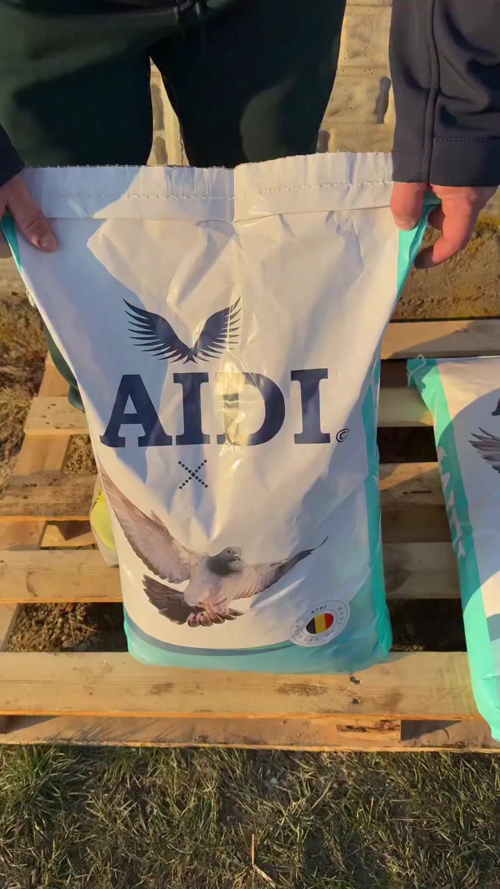 The most beautiful videos about the world of carrier pigeons 
أجمل الفيديوهات عن عالم حمام الزاجل 
حيدر الدبيسي - لحمام الزاجل ***********
